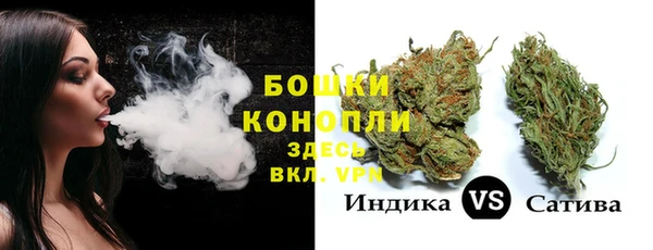 крисы Абаза
