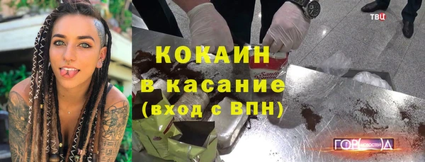 крисы Абаза