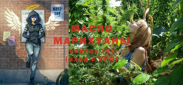 крисы Абаза